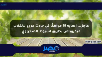 عاجل.. إصابة 19 مواطنًا في حادث مروع لانقلاب ميكروباص بطريق أسيوط الصحراوي